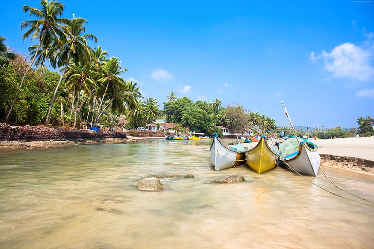 goa1