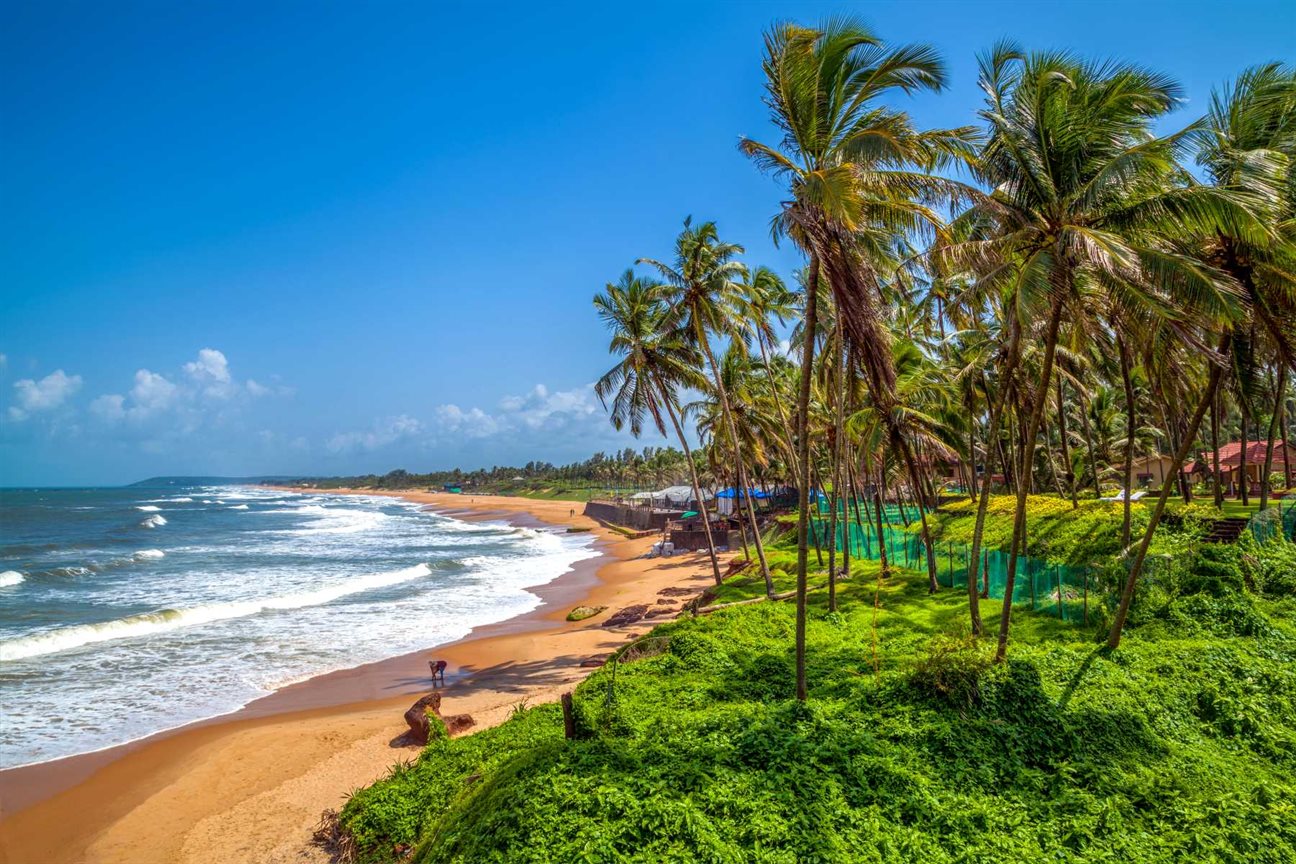 goa3