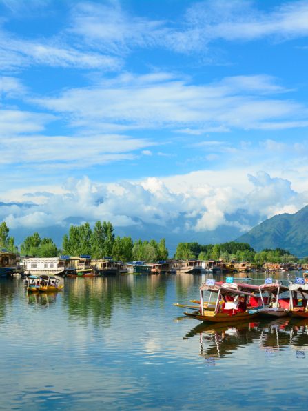 Srinagar, India - July 23, 2015: Many traditional boats waiting for tourists in the Dal lake of Srinagar, Jammu and Kashmir, India. Dal lake is integral to tourism and recreation in Kashmir.
